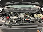 2023 Ford F-350 Crew Cab SRW 4x4 Pickup for sale #IAJ7342 - photo 34