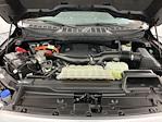 2023 Ford F-150 SuperCrew Cab 4WD Pickup for sale #IAJ7512 - photo 37