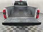 2024 Ford F-350 Crew Cab SRW 4WD Pickup for sale #IAJ7572 - photo 7