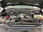 2025 Ford F-450 Crew Cab DRW 4WD Pickup for sale #IAJ7652 - photo 34