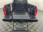2025 Ford F-450 Crew Cab DRW 4WD Pickup for sale #IAJ7652 - photo 8