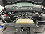 2024 Ford F-150 SuperCrew Cab 4WD Pickup for sale #IAJ7786 - photo 32