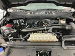 2024 Ford F-150 SuperCrew Cab 4WD Pickup for sale #IAJ7917 - photo 29