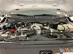 2024 Ford F-350 Crew Cab SRW 4x4 Pickup for sale #IAM6569 - photo 35