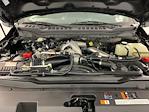 2024 Ford F-350 Crew Cab SRW 4x4 Pickup for sale #IAM6720 - photo 34