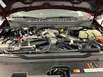 2024 Ford F-350 Crew Cab SRW 4x4 Pickup for sale #IAM7096 - photo 35