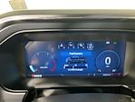 2024 Ford F-450 Crew Cab DRW 4x4 Pickup for sale #IAM7180 - photo 21