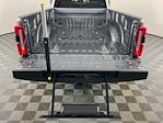 2024 Ford F-450 Crew Cab DRW 4x4 Pickup for sale #IAM7180 - photo 8