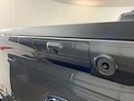 2024 Ford F-450 Crew Cab DRW 4x4 Pickup for sale #IAM7180 - photo 9
