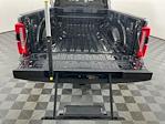 2024 Ford F-450 Crew Cab DRW 4x4 Pickup for sale #IAM7184 - photo 8