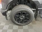 2025 Ford F-350 Crew Cab SRW 4WD Pickup for sale #IAM7521 - photo 33