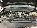 2025 Ford F-350 Crew Cab SRW 4WD Pickup for sale #IAM7521 - photo 34