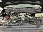 2025 Ford F-350 Crew Cab SRW 4WD Pickup for sale #IAM7965 - photo 34