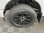 2025 Ford F-350 Crew Cab SRW 4WD Pickup for sale #IAM7994 - photo 33
