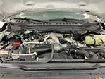 2025 Ford F-350 Crew Cab SRW 4WD Pickup for sale #IAM7994 - photo 34