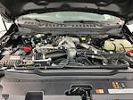 2025 Ford F-350 Crew Cab SRW 4WD Pickup for sale #IAM8196 - photo 33
