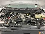 2024 Ford F-350 Crew Cab DRW 4WD Pickup for sale #IAQ7674 - photo 29