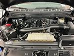 2024 Ford F-150 SuperCrew Cab 4WD Pickup for sale #IAQ8105 - photo 39