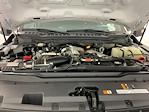 2023 Ford F-350 Crew Cab SRW 4x4 Pickup for sale #IB5678 - photo 35