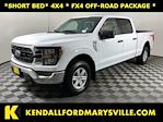2023 Ford F-150 SuperCrew Cab 4x4 Pickup for sale #IB5712 - photo 1