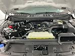2024 Ford F-150 SuperCrew Cab 4x4 Pickup for sale #IP5758 - photo 27