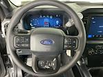 2025 Ford F-150 SuperCrew Cab 4x4 Pickup for sale #IP5763 - photo 14