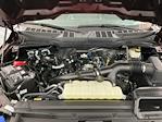 2024 Ford F-150 SuperCrew Cab 4WD Pickup for sale #IP5775 - photo 27