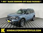 2025 Ford Bronco Sport 4WD SUV for sale #IP5817 - photo 1