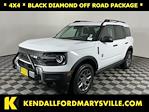2025 Ford Bronco Sport 4WD SUV for sale #IP5829 - photo 1
