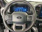 2025 Ford F-150 SuperCrew Cab 4WD Pickup for sale #IP5865 - photo 18