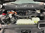 2025 Ford F-150 SuperCrew Cab 4WD Pickup for sale #IP5865 - photo 31