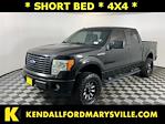 2014 Ford F-150 SuperCrew Cab 4x4 Pickup for sale #ITS2339A - photo 1