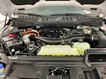 2024 Ford F-150 SuperCrew Cab 4x4 Pickup for sale #ITS2409 - photo 30