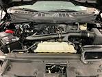 2024 Ford F-150 SuperCrew Cab 4x4 Pickup for sale #ITS2434 - photo 29