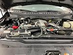 2024 Ford F-350 Crew Cab SRW 4WD Pickup for sale #ITS2890 - photo 35