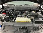 2025 Ford F-150 SuperCrew Cab 4WD Pickup for sale #ITS2896 - photo 33
