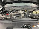2024 Ford F-350 Crew Cab SRW 4WD Pickup for sale #ITS3136 - photo 37