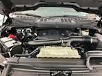 2023 Ford F-150 SuperCrew Cab 4WD Pickup for sale #ITS3163 - photo 33