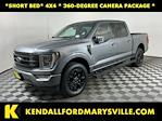 2023 Ford F-150 SuperCrew Cab 4x4 Pickup for sale #ITS7536 - photo 1