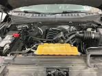 2016 Ford F-150 SuperCrew Cab 4WD Pickup for sale #IZF1795 - photo 25