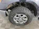 2013 Ford F-150 SuperCrew Cab 4WD Pickup for sale #IZF1950 - photo 7