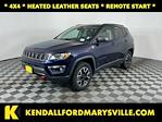 2019 Jeep Compass 4WD SUV for sale #IZF1968 - photo 1