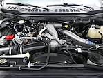 2024 Ford F-250 Crew Cab 4x4 Pickup for sale #203457R - photo 8