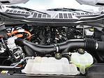 2024 Ford F-150 SuperCrew Cab 4WD Pickup for sale #203759P - photo 7