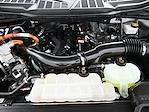 2024 Ford F-150 SuperCrew Cab 4WD Pickup for sale #203760P - photo 7