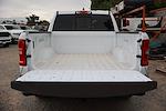 2025 Ram 1500 Crew Cab 4x4 Pickup for sale #2250168 - photo 35
