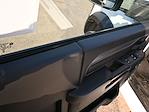 New 2025 Ram 5500 Tradesman Regular Cab 60 CA Cab Chassis for sale #2250523 - photo 10