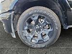 2025 Ram 1500 Crew Cab 4x4 Pickup for sale #E50548 - photo 14