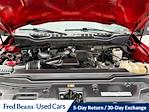 2020 Ford F-250 Regular Cab 4WD Pickup for sale #D50138Z5 - photo 24