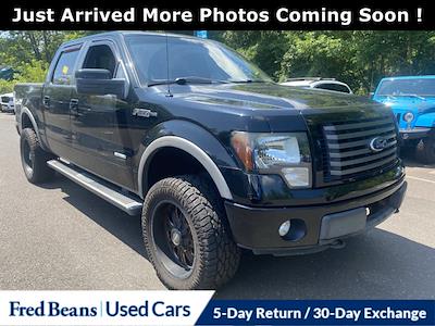 2011 Ford F-150 SuperCrew Cab 4WD Pickup for sale #D50433J1 - photo 1